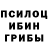 Галлюциногенные грибы Psilocybine cubensis Old knowledge