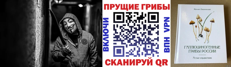 Псилоцибиновые грибы Psilocybine cubensis  цена   гидра ссылки  Оренбург 