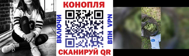 Бошки Шишки гибрид  mega вход  Оренбург  продажа наркотиков 